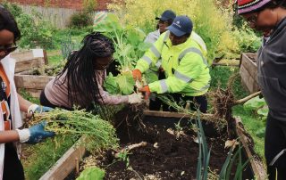 Members of Ubuntu Women's Shelter working on community garden