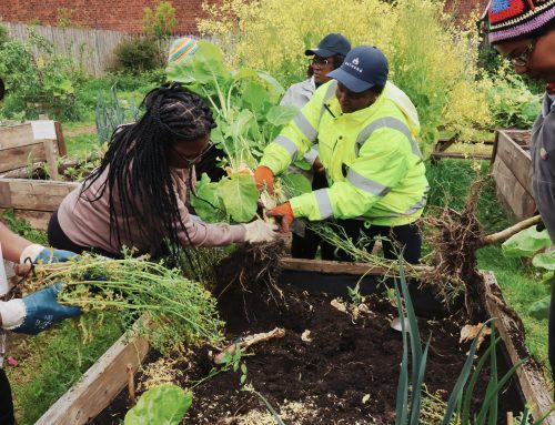 Blog | Celebrating our members, who deliver A Million Acts of Hope, every single day